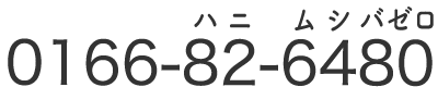 0166-82-6480